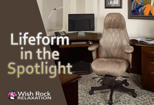 Lifeform in the Spotlight - Wish Rock Relaxation